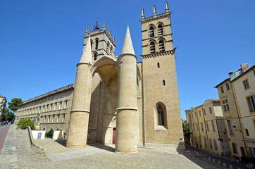 Montpellier Cathedral in France - obrazy, fototapety, plakaty