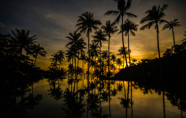 Fototapeta na wymiar Silhouette coconut palm tree with sunset time on the beach at samui island,Thailand