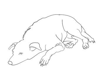 cute dog illustration.