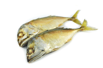Mackerel fish isolated / steamed mackerel cook fish on white plate isolated on white background