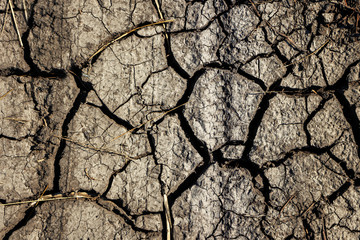 The texture of dry soil with cracks with a trace of the wheel tread. toned