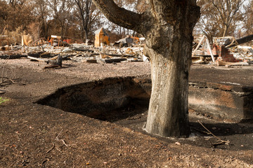 Crying into the Viewfinder: One Month After the 2017 Sonoma County Wildfires