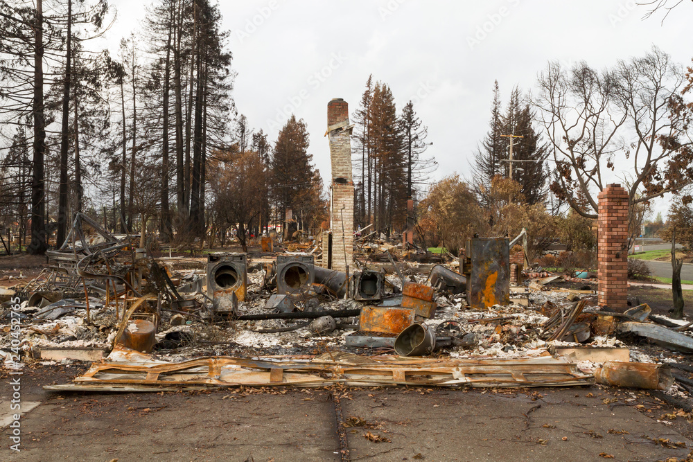 Wall mural crying into the viewfinder: one month after the 2017 sonoma county wildfires