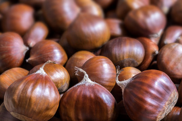 Raw edible chestnuts, blurred background, closeup, top view