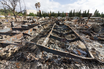 Crying into the Viewfinder: One Month After the 2017 Sonoma County Wildfires