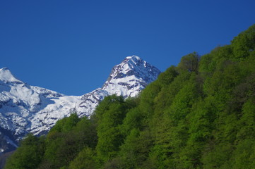 view of alps