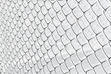 Winter hoarfrost on mesh. Net covered with snow, ice crystals. Close up of grid covered with thick layer of white crystalline hoarfrost.