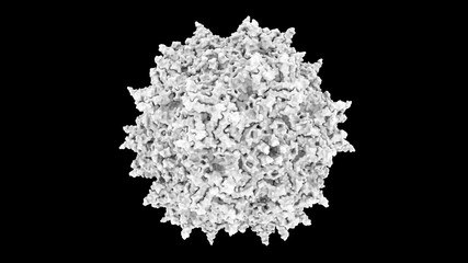 3D CG rendered image of scientifically accurate Adeno-Associated Virus (AAV) Capsid Structure based on PDB : 1LP3 (surface occlusion style)