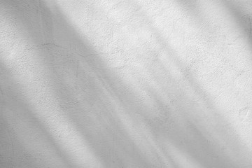 shadow of branches and leaves on a white cement street wall