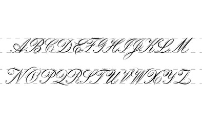 Calligraphy practice guide in copperplate script style. Vector illustration.