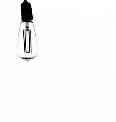 vintage light bulbs isoledted on white background