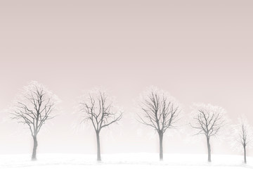 Fototapeta premium Karge Winterlandschaft