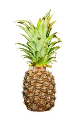 Fototapeta premium pineapple close up isolated on a white background