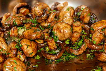 Grilled champignons mushrooms with parsley