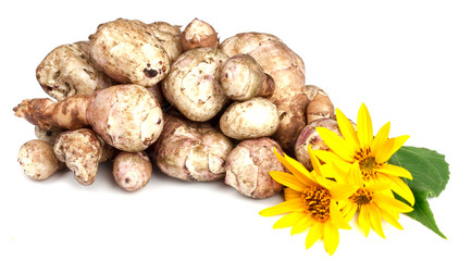 Jerusalem artichoke isolated on white background