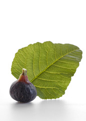 Fig fruits with leaves on white