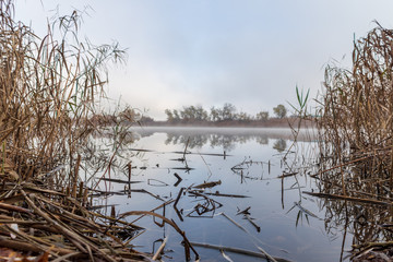 lake in autumn