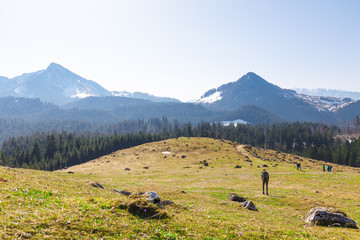 young woman hiker enjoying wild crocos in purple and white on famous Mountain Heuberg with snow covered Alps in the background
