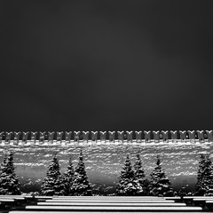 Moscow, the snow-covered Red Square, the Kremlin wall and the snow-covered spruce from it. stern...