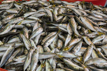 Fresh Prepared Seafood Background Texture