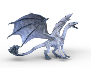 Fototapeta premium ドラゴン