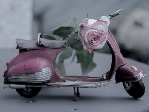 Scooter et rose vintage