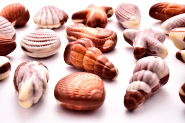Shell-shaped chocolates