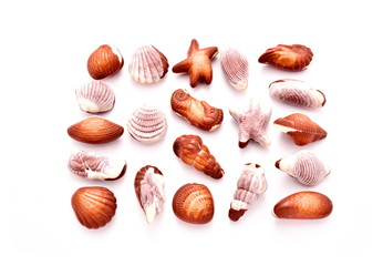 Shell-shaped chocolates