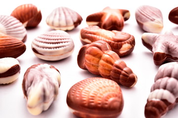 Shell-shaped chocolates