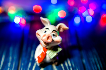 Symbol 2019-pig stands on a blue wooden background 