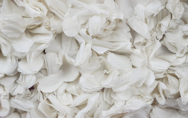 Fototapeta na wymiar White background with paper flowers texture.