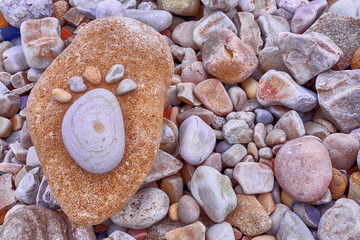 Tropical landscape, plants and flowers