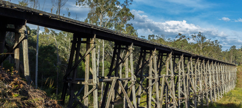 view over the Noojee Trestle bridge, Gippsland, Victoria, Australia