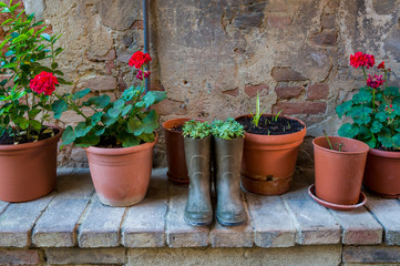 Flowers planted in the old resin boots