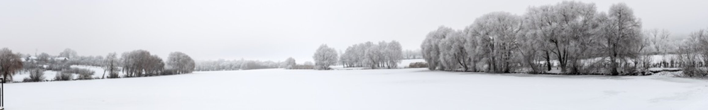 Fototapeta Winter view Trees covered with frost grow on the shores of the lake.
