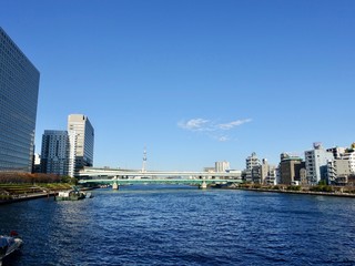 Obraz premium 隅田川