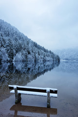 Reflection of snowy forest at the Lac de Longemer in the Vosges
