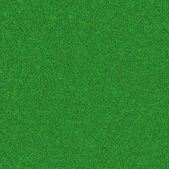 green texture of grass