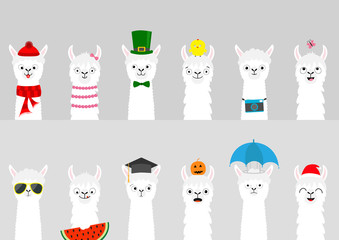 Alpaca llama set. Cute cartoon funny lama character. All seasons. Happy Valentines Christmas St Patrick day Easter Egg Chicken Bird Umbrella Santa hat, sun Flat design Gray background © worldofvector