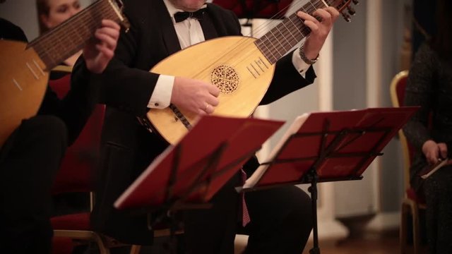 Chamber orchestra. A man playing lute on a musical performance