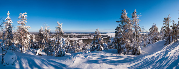 Ski resort panorama snow covered landscape. Sunny frosty day. Vuokatti Finland © Mikhail