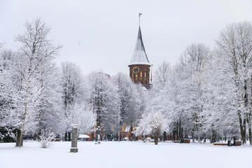 The Cathedral of Kaliningrad in winter