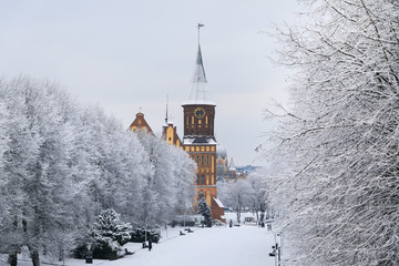 The Cathedral of Kaliningrad in winter - obrazy, fototapety, plakaty
