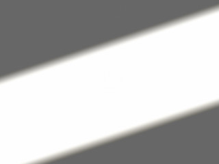 Organic Drop Shadow Overlay Effects, Window, Plant, Cell, Tree Shadows On Wall For Stationary Mock-ups, Posters, Wall Art, Design Presentation 