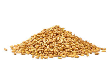 Wheat heap or pile side view isolated on white background
