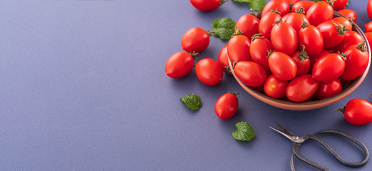 Fresh red cherry tomatoes in a wooden bowl isolated on a blue background, close up, copy space