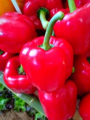 Fruit show vol.010