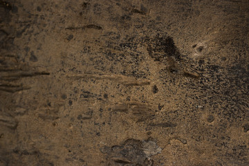 wood background