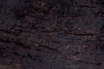 wood background