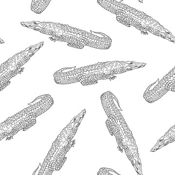 Vector seamless pattern with Nile crocodile. 